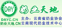 宇譯翻譯
